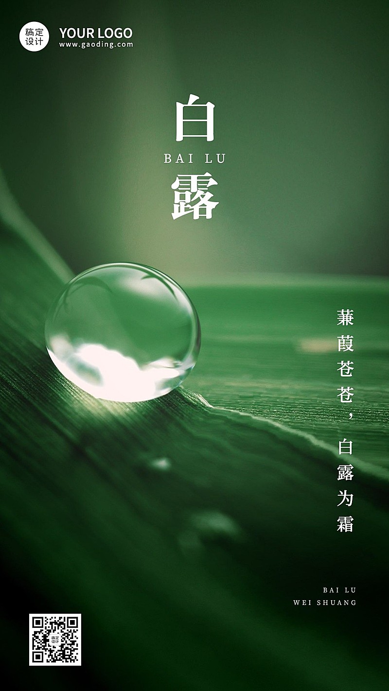 白露节气祝福实景排版手机海报