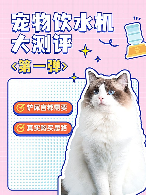 宠物产品测评小红书套装小红书封面