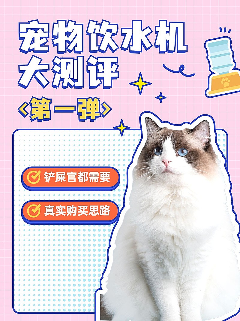 宠物产品测评小红书套装小红书封面