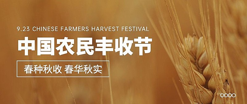 通用中国农民丰收节宣传实景公众号首图