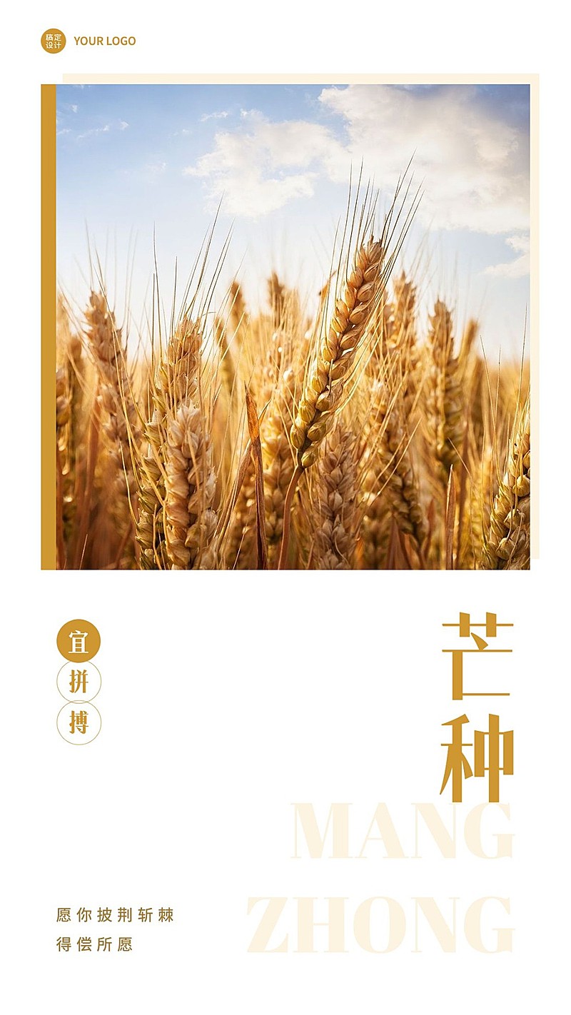微商芒种节气晒图晒照手机海报