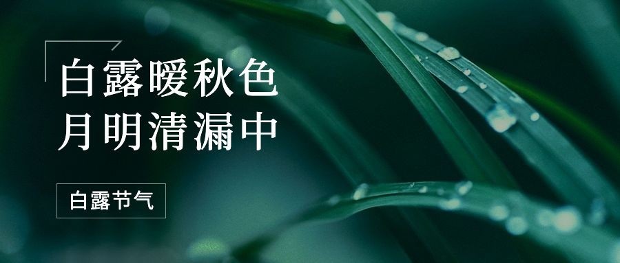 白露节气祝福问候实景公众号首图预览效果
