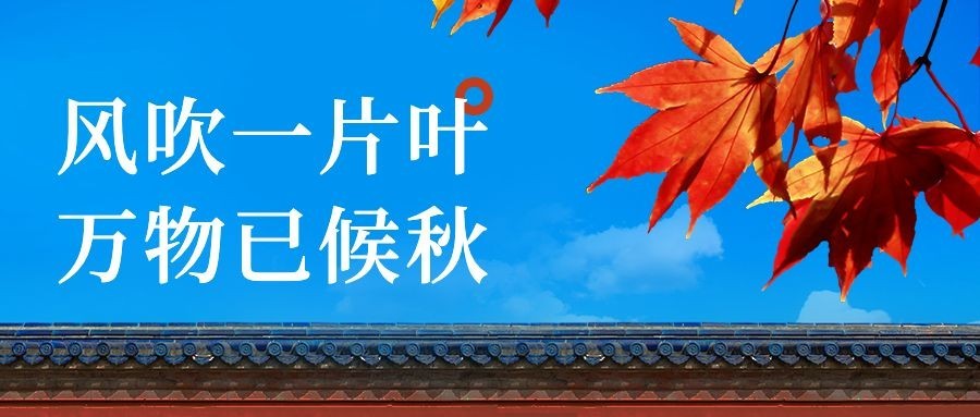 立秋节气祝福实景枫叶公众号首图预览效果