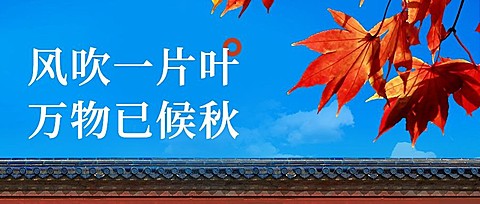 立秋节气祝福实景枫叶公众号首图