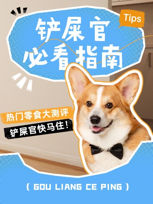 宠物零食测评小红书套装小红书封面预览效果