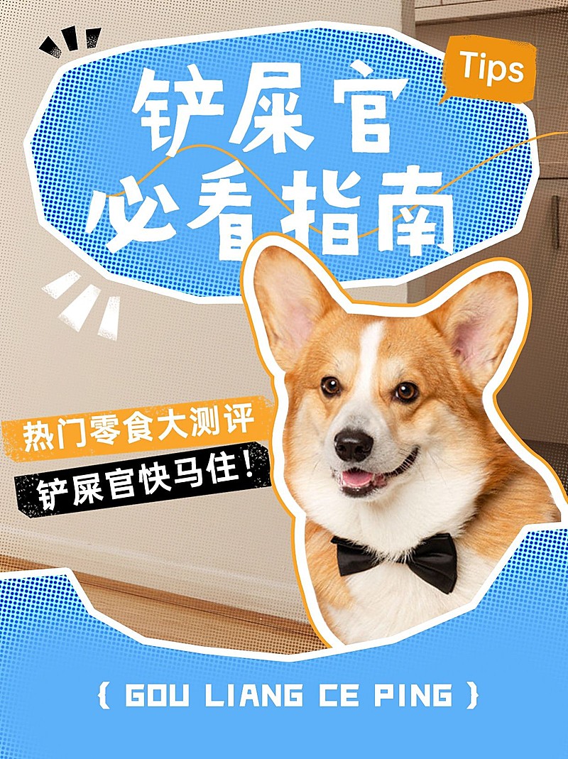 宠物零食测评小红书套装小红书封面