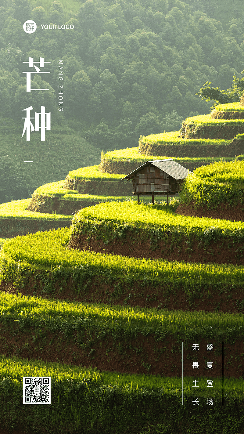 芒种节气祝福排版手机海报