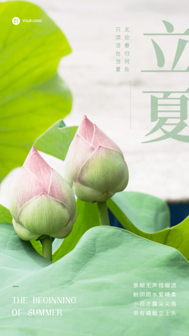 立夏节气祝福排版手机海报预览效果
