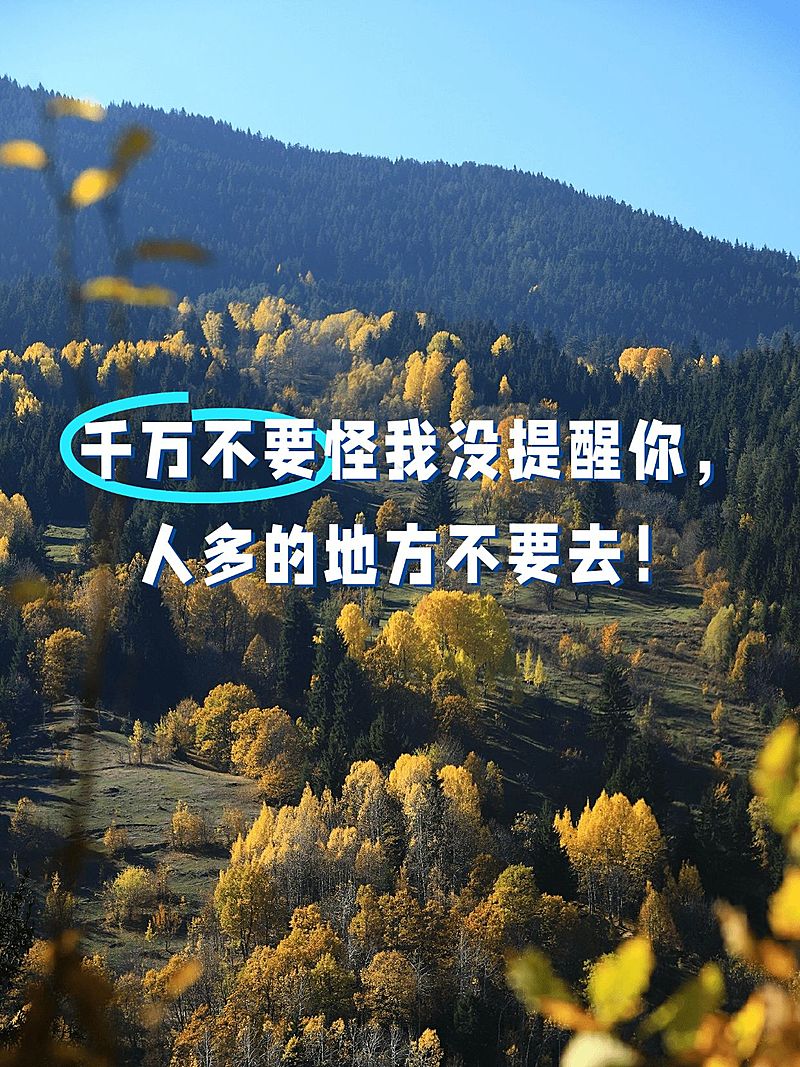 2412MB-小红书母版-指派汪汪