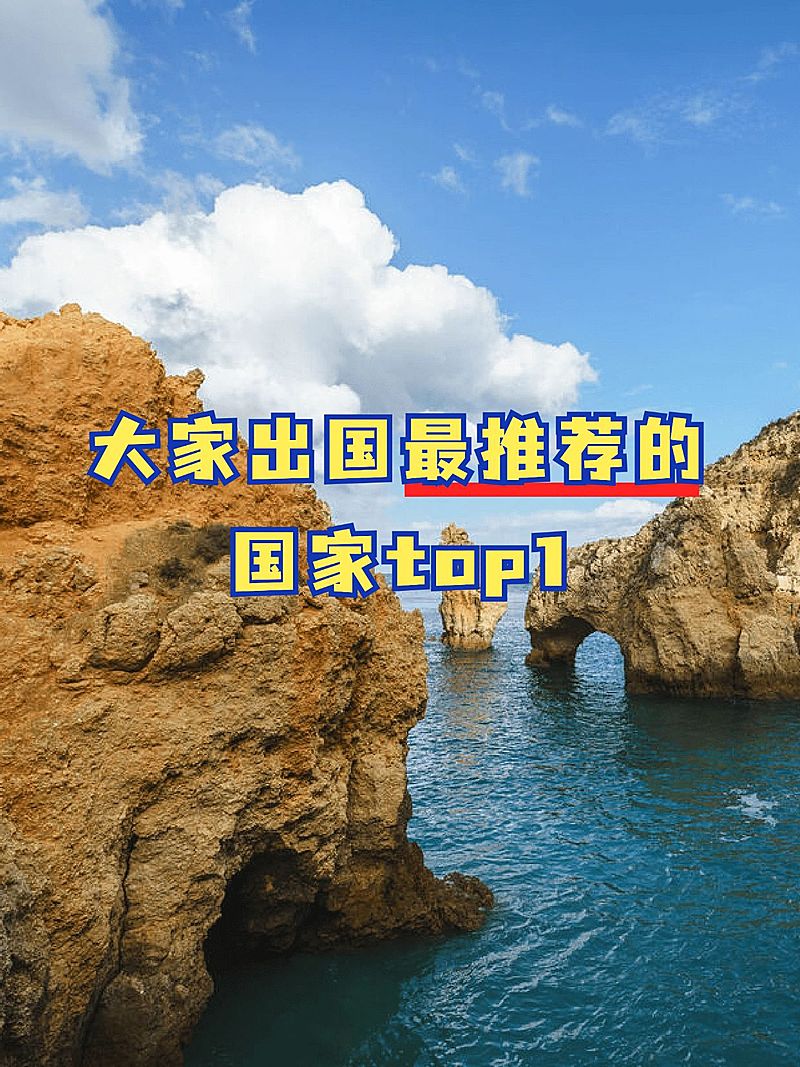 2412MB-小红书母版-指派汪汪