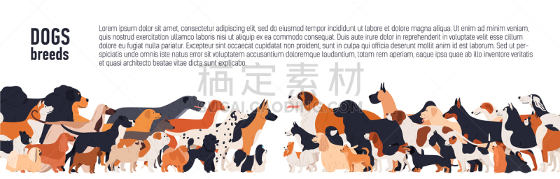 文字,背景,与众不同,髯犬,侧面视角,白色,巨大的,小的,多样,布置