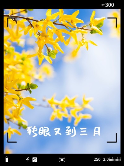 三月月初问候晒照PLOG