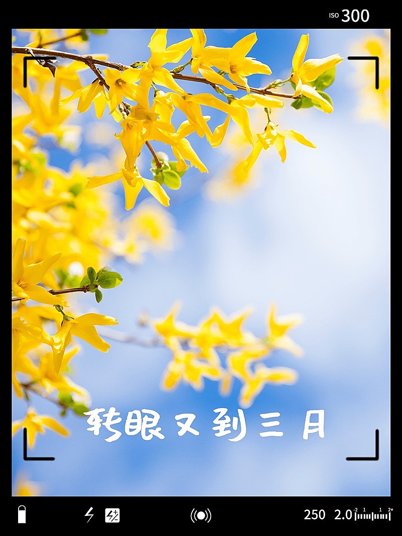 三月月初问候晒照PLOG