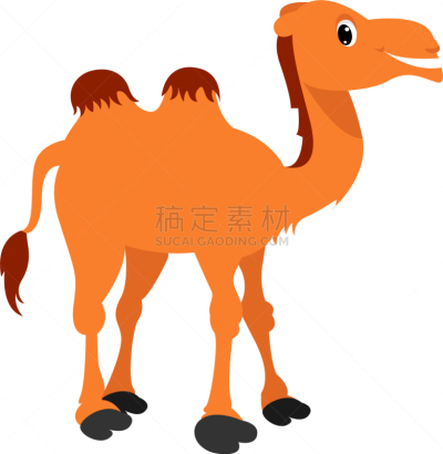 骆驼,幸福,白色背景,旅途,热,野生动物,动物,双峰骆驼,站,绘制