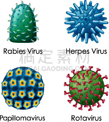四个物体,分离着色,白色,不卫生的,图像,动物,狂犬病,生病