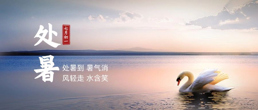 处暑节气问候祝福实景公众号首图预览效果