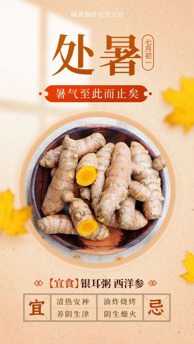 处暑百科结合产品养生营销海报