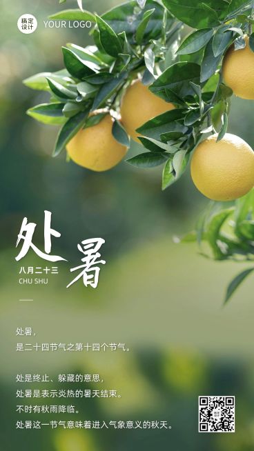 处暑节气祝福秋天实景手机海报预览效果
