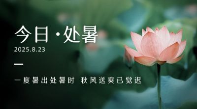 处暑节气莲花实景秋天横版海报