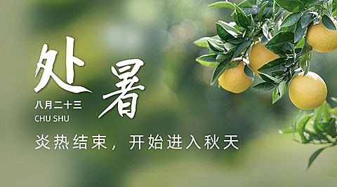 处暑节气祝福秋天实景横版海报