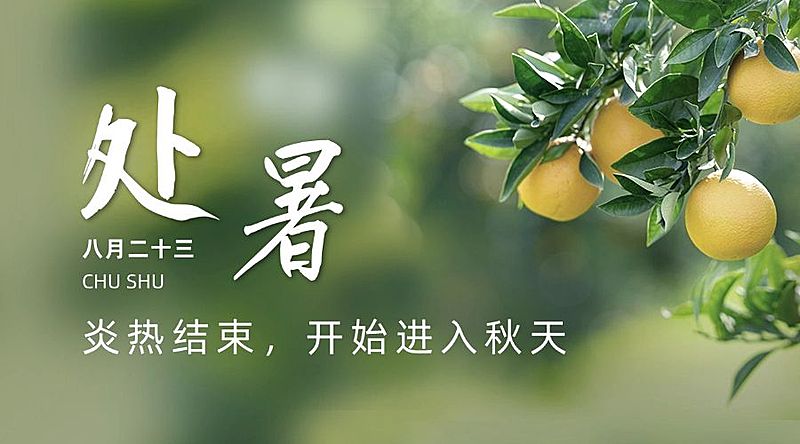 处暑节气祝福秋天实景横版海报