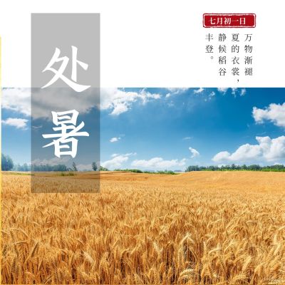 处暑节气祝福实景稻田秋天方形海报