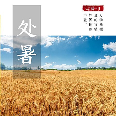 处暑节气祝福实景稻田秋天方形海报