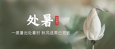 处暑节气祝福问候莲花公众号首图