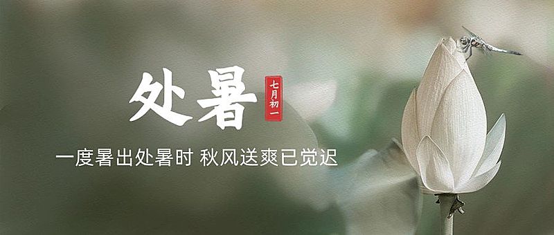 处暑节气祝福问候莲花公众号首图