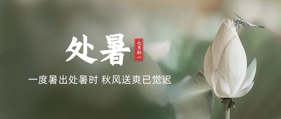 处暑节气祝福问候莲花公众号首图
