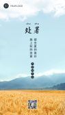 模板缩略图