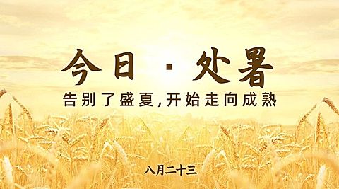 处暑节气秋天稻田农耕横版海报