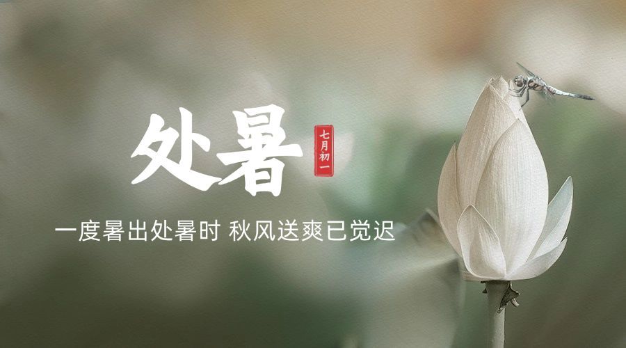 处暑节气祝福问候莲花横版海报预览效果