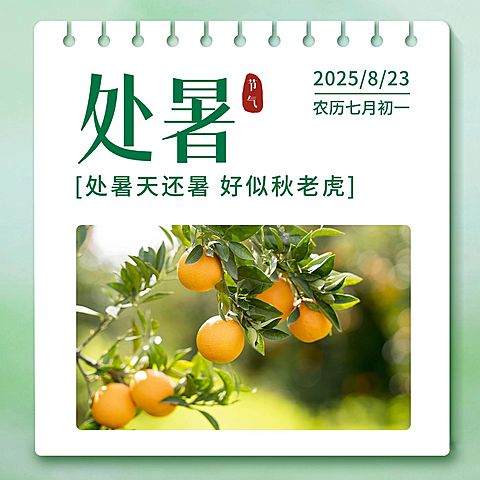 处暑节气祝福问候实景方形海报