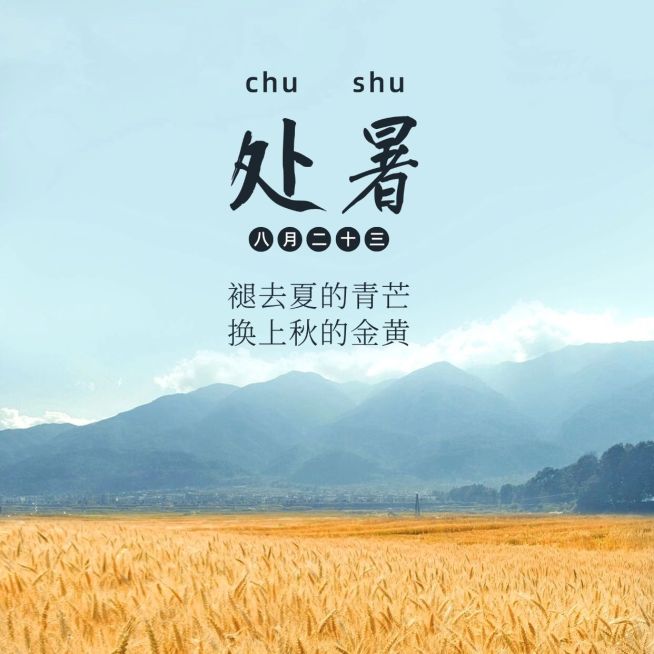 处暑节气祝福问候秋季实景方形海报预览效果