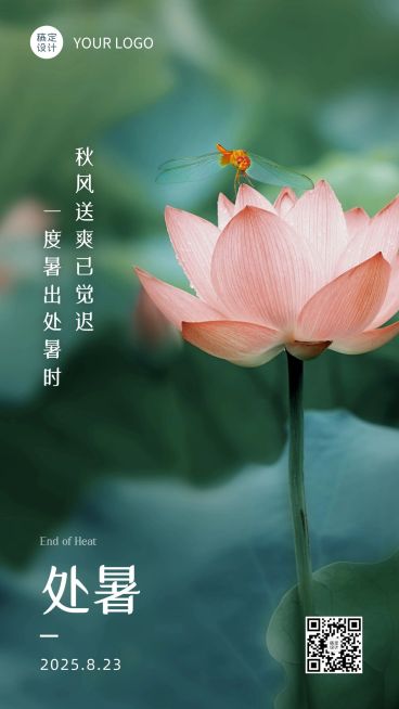 处暑节气莲花实景秋天手机海报预览效果