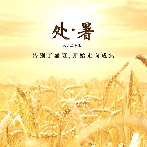 处暑节气祝福问候秋天实景方形海报