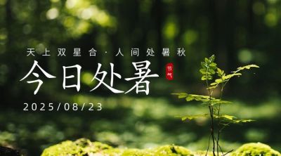 处暑节气祝福问候实景横版海报