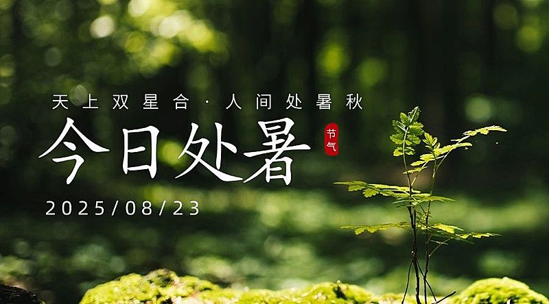 处暑节气祝福问候实景横版海报