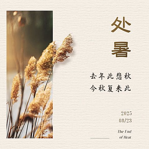 处暑节气祝福问候实景方形海报