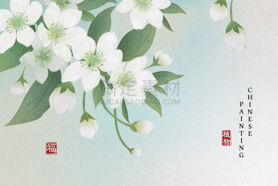 高雅,背景,植物,水墨画,梨,花朵,花,祝福