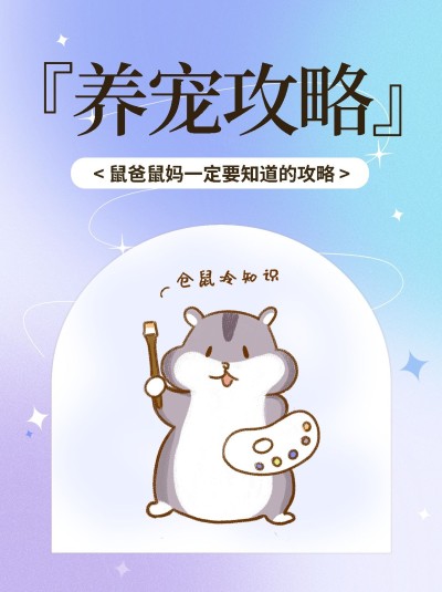 宠物知识科普小红书封面