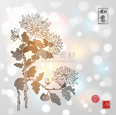 白色,菊花,东方人,亚洲,创造力,烟灰墨,自然,花