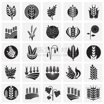 谷类食品,插画,动机,正方形,符号,背景,农业,大麦,厚的,清新