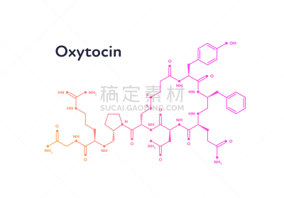 科学,痛苦,矢量,荷尔蒙,白色背景,忧虑,设计,教育