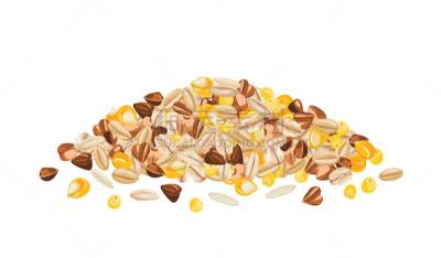米,堆,燕麦,玉米,绘画插图,卡通,扁平化设计,有机食品,稷,小麦