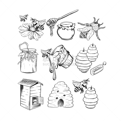 蜂蜜,草图,蜂箱,健康保健,大桶,食品,大黄蜂,广口瓶,布置,复古