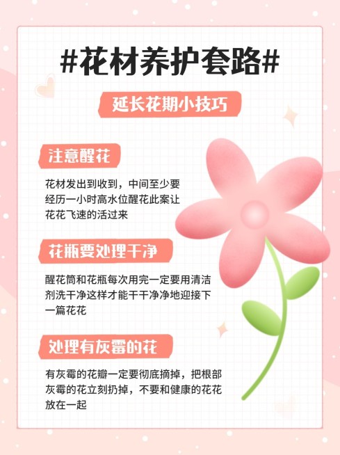 花材养护知识科普小红书配图预览效果