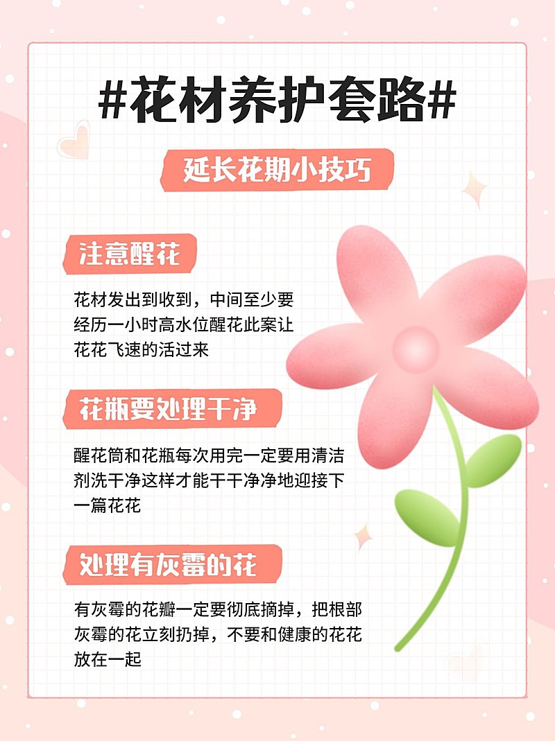 花材养护知识科普小红书配图