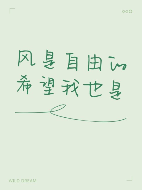 2409MB-小红书母版-内部歪歪预览效果
